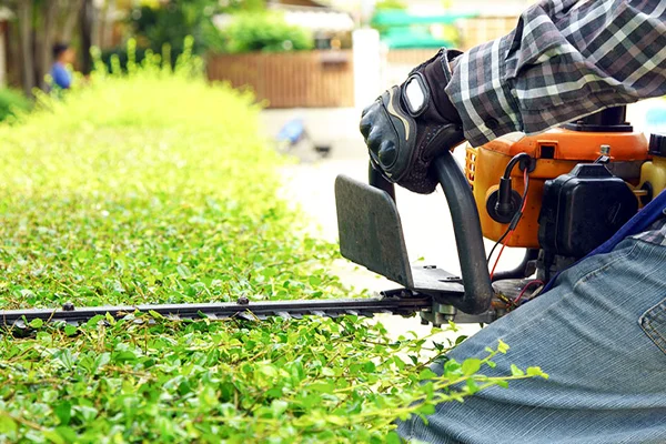 Grounds & Landscaping Maintenance